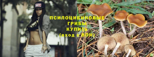 прущая мука Белокуриха